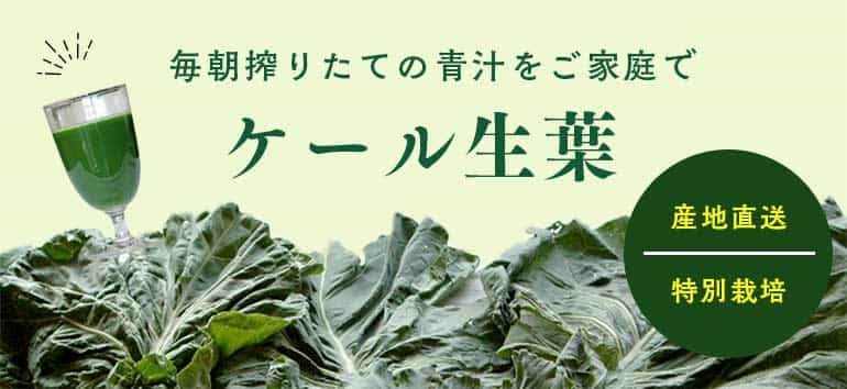 ケール生葉